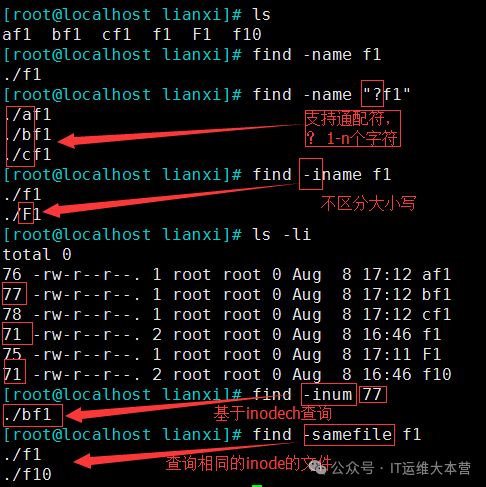 Linux File Search Tools: Locate vs. Find - Which is Your Best Choice?