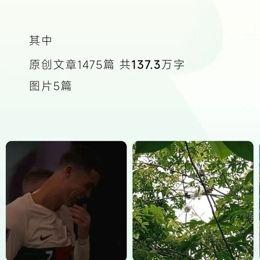 C# 'Hammer of Thor': Accelerating Game Physics Engine with SIMD Instruction Set