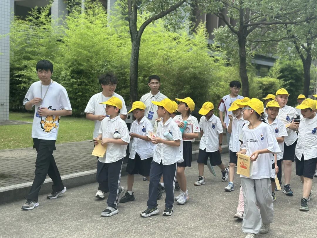 When Elementary School "AI Newbies" Meet University Laboratories