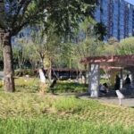 The Impact of Financial Robots on Management Accounting Practices in Enterprises