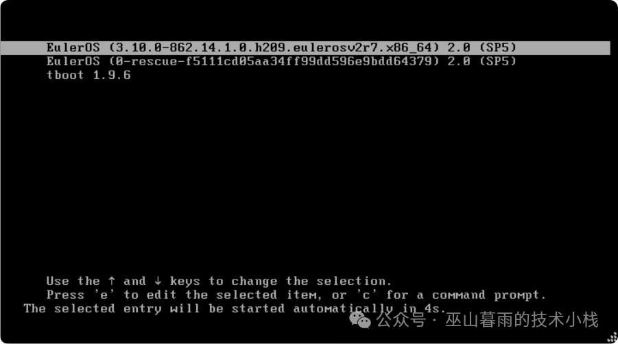 Tutorial for Installing Euler OS on ESXi Virtualization