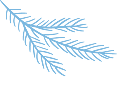 2025 Anhui Province Robot Competition Microcontroller and Embedded Systems Preliminary Round Successfully Held at Huainan Normal University