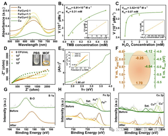 Professor Dong Haifeng from Beijing University of Science and Technology in ACS NANO: Bimetallic Metal-Organic Framework Microneedle Array Promotes Wound Healing through Targeted Reactive Oxygen Species Generation and Disruption of Electron Transfer