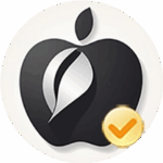 iPhone 12 Camera Module Cannot Be Repaired or Replaced by Third Parties!