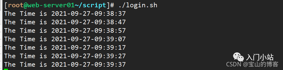 A Comprehensive Guide to Shell Scripting from Basics to Practical Applications