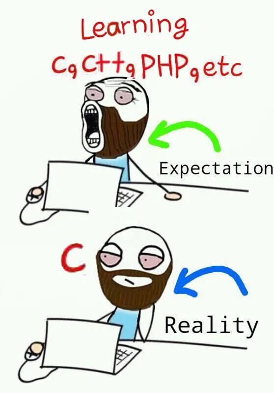 Expecting to Learn Multiple Languages, but Stuck with C Language