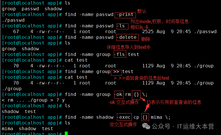 Linux File Search Tools: Locate vs. Find - Which is Your Best Choice?