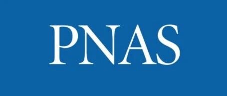 A New Paradigm for Programming Magnetic-Controlled Microrobots: A Joint Achievement by Xi'an Jiaotong University, City University of Hong Kong, and the Max Planck Institute Published in PNAS!