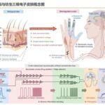 Empowering Robots Through Communication: Thriving in the AI Wave and the Expanding Industry Chain