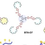 J. Am. Chem. Soc. | Jilin University’s Jiang Shimei: Achieving High-Performance Single-Component Adhesives through Synergistic Supramolecular and Covalent Polymerization