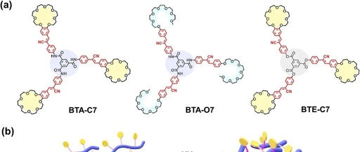 J. Am. Chem. Soc. | Jilin University’s Jiang Shimei: Achieving High-Performance Single-Component Adhesives through Synergistic Supramolecular and Covalent Polymerization