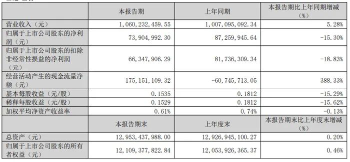 Summary of Q1 2025 Financial Reports from 20 Display Chip Companies Including Weir Shares, Allwinner Technology, and Rockchip