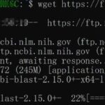 Installation of BLAST on Linux Operating System