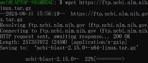 Installation of BLAST on Linux Operating System