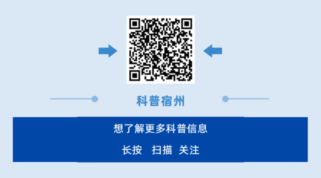 What Kind of 'Network' is Satellite IoT?