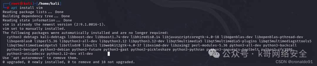Linux System Administration: Installing Kali Linux on a Virtual Machine