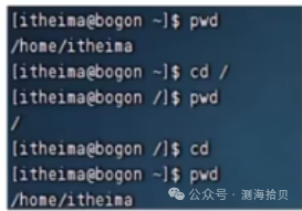 Common Linux Commands for Software Testing