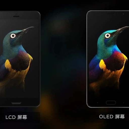 How to Choose a Smartphone Screen? Understand the Differences Between OLED, LCD, and AMOLED to Say Goodbye to Decision Fatigue!