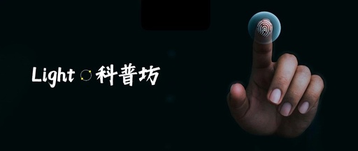 Optical Biosensors: From Fingerprint Recognition to Electronic Skin