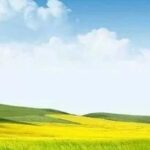 A New Dimension in Environmental Monitoring: Building Ecological Digital Twins with Satellite IoT