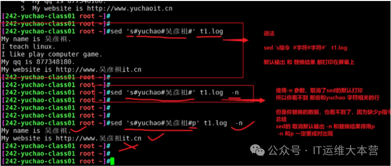 Essential Linux Commands: The Three Musketeers - sed