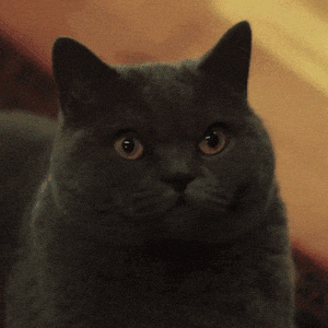 The Shadow Inside: Why HTTP Smuggling Still Disrupts Networks