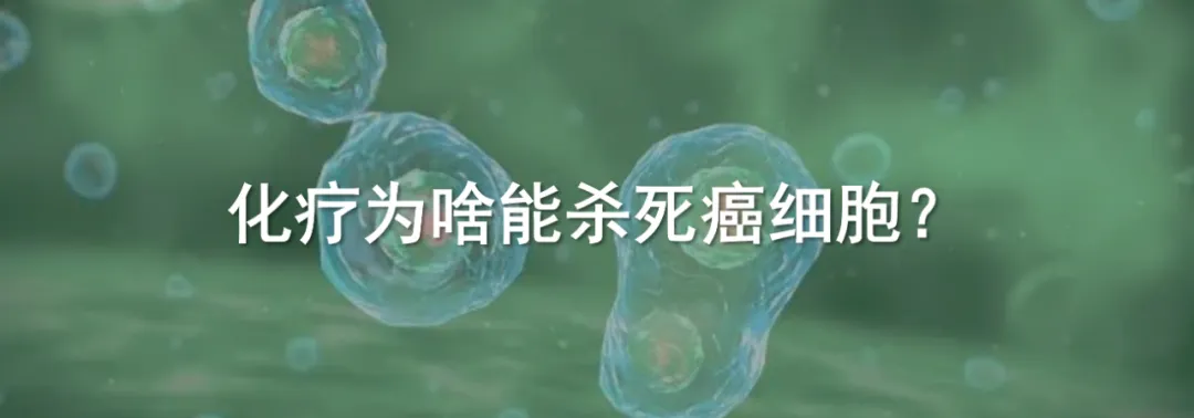 Challenging Textbooks! New Discoveries in the Central Dogma: RNA Can Generate New Genes