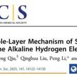 The Impact of Surface Oxygen Affinity on the Regulation of Alkaline HER Kinetics