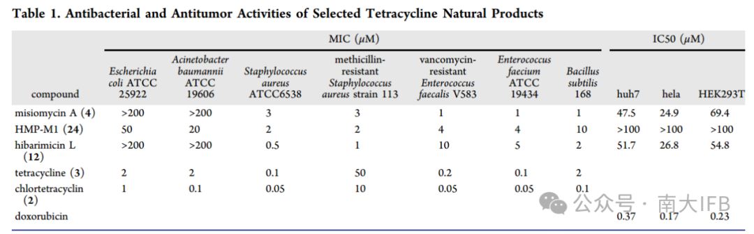 Uncovering the Molecular Landscape of Tetracycline Family Natural Products through Bacterial Genome Mining