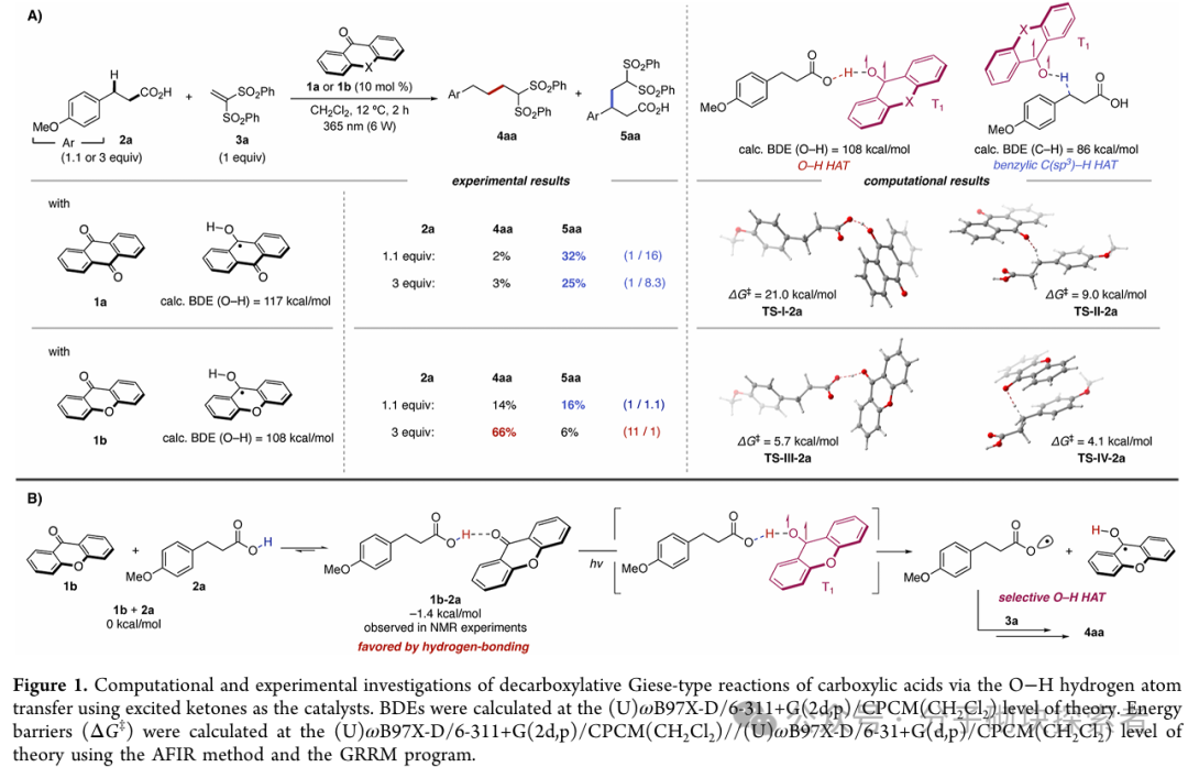 New Breakthrough in Photocatalysis! Direct Conversion of Carboxylic Acids to Radicals, Adding a New Tool for Green Chemistry, Goodbye to Heavy Metals!