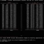 The Correspondence Between Assembly Language and C Language