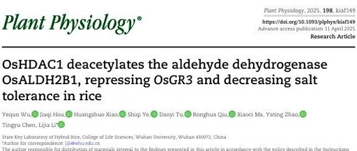 OsHDAC1 Deacetylates Aldehyde Dehydrogenase OsALDH2B1, Represses OsGR3, and Reduces Salt Tolerance in Rice