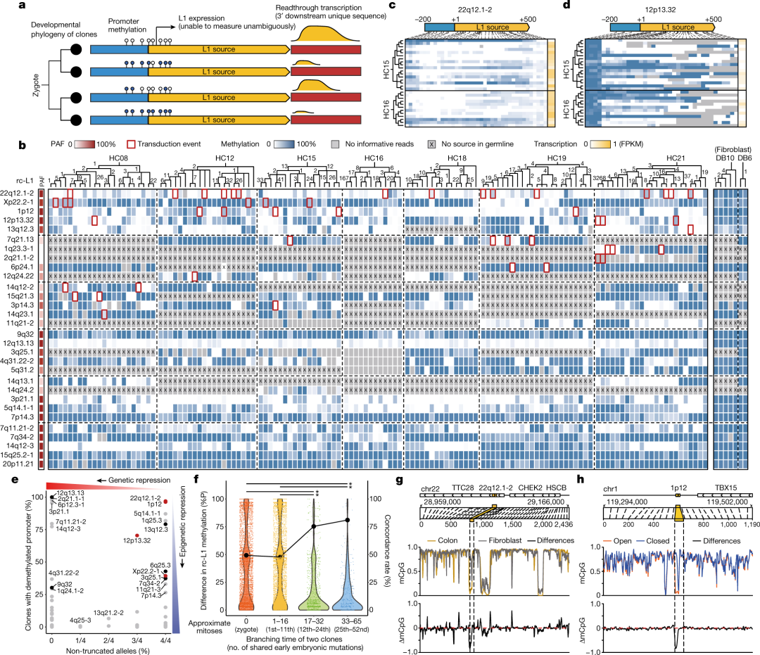 How to Use MATLAB to Retrieve All Illustrations from Nature (Including Images from 2023-2025)