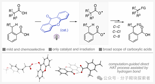 New Breakthrough in Photocatalysis! Direct Conversion of Carboxylic Acids to Radicals, Adding a New Tool for Green Chemistry, Goodbye to Heavy Metals!