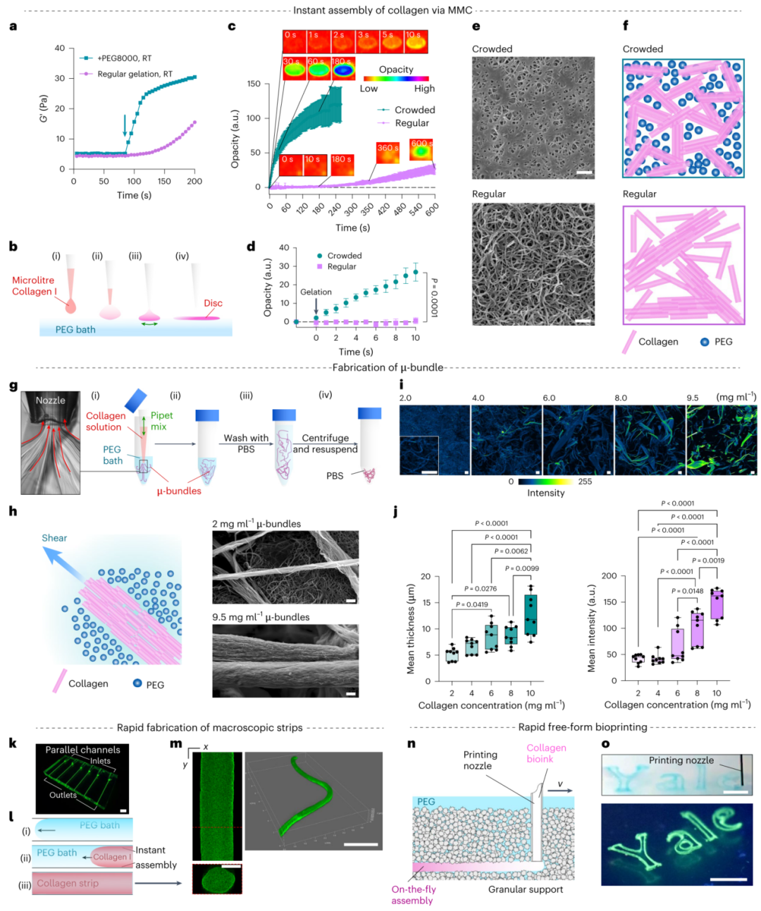 3D Bioprinting | Gelation in Less Than 1 Second, Featured in Nature Materials!