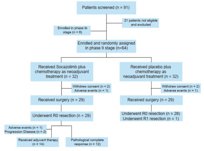 Efficacy of the Novel PD-L1 Inhibitor Socazolimab in Neoadjuvant Treatment Combined with Chemotherapy for Locally Advanced ESCC Requires Phase III Trial Validation