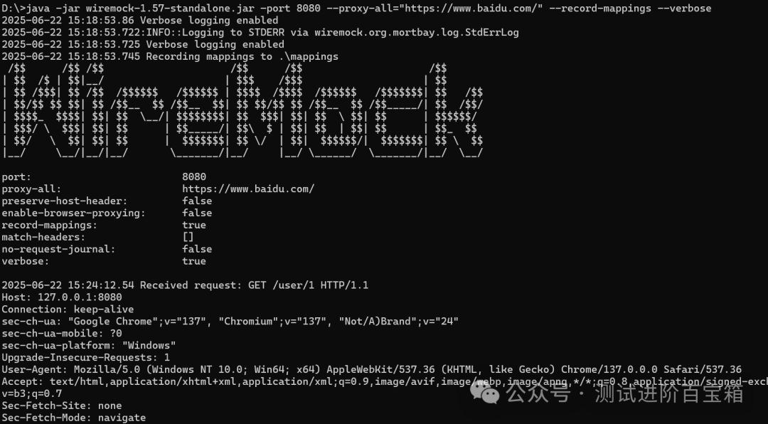 Detailed Setup and Practical Guide for the HTTP Mock Tool WireMock