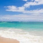 Observation of Convertible Bonds for Two Robots: Swing Trading Insights on May 6