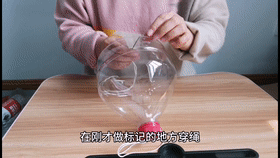 Innovative Practice School in Dalian: Excellent Micro-Class Broadcast (97) - Hydroponic Wind Chime Pothos