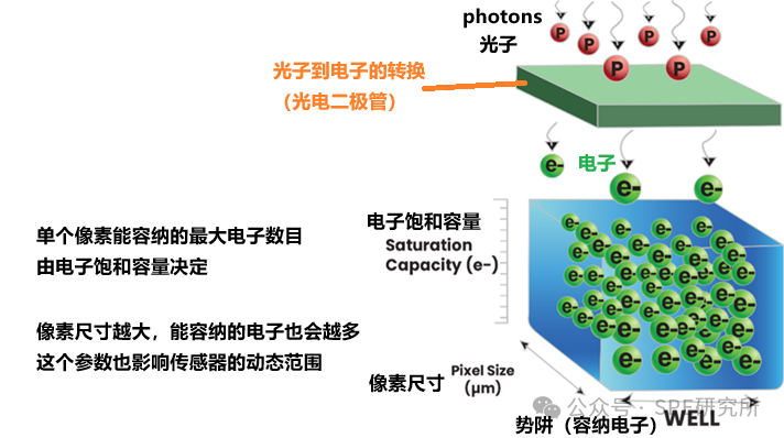 Supplementary Explanation on Blooming and Smear Phenomena in Sensors