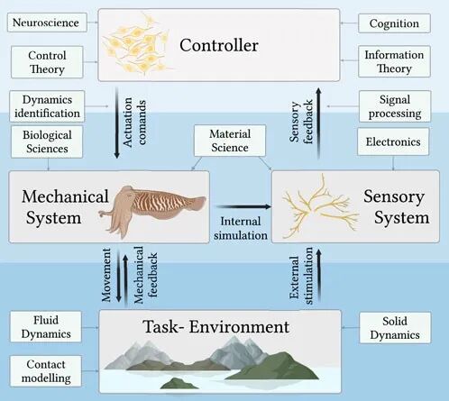 Discipline News: Recommendations for Literature in the Field of Robotics Technology