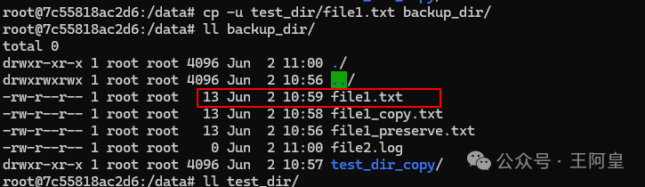 Mastering the Linux File System: The cp Command and Practical Applications 2