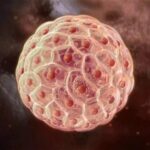 Can 3D Printing Cure Paralysis? A Two-Year Wait Finally Unleashed