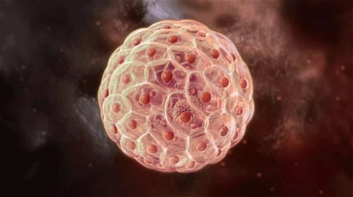 Can 3D Printing Cure Paralysis? A Two-Year Wait Finally Unleashed