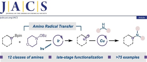 Photocatalytic N-Alkylation