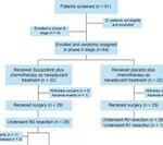Efficacy of the Novel PD-L1 Inhibitor Socazolimab in Neoadjuvant Treatment Combined with Chemotherapy for Locally Advanced ESCC Requires Phase III Trial Validation