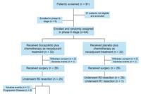 Efficacy of the Novel PD-L1 Inhibitor Socazolimab in Neoadjuvant Treatment Combined with Chemotherapy for Locally Advanced ESCC Requires Phase III Trial Validation