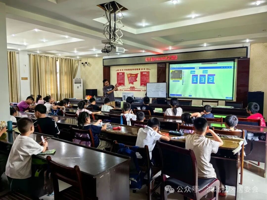 Embarking on a Micro:bit Journey to Ignite Youth Programming Dreams