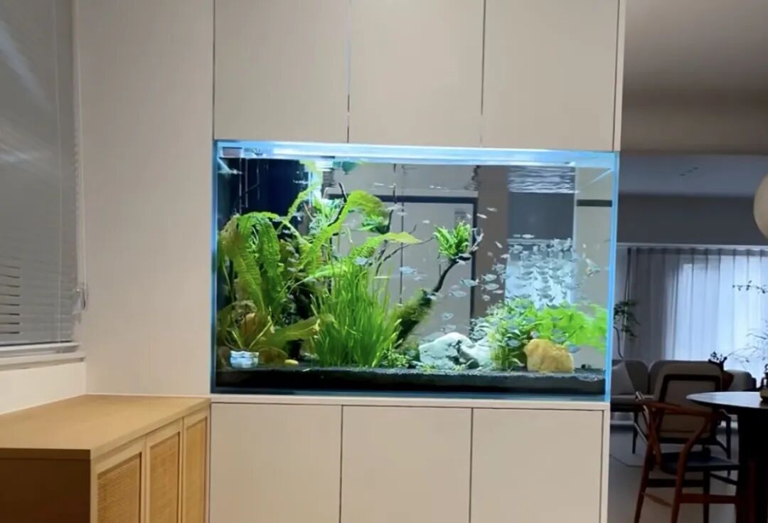 Custom Embedded Aquarium? Here Are Key Points to Discuss with Your Designer in Advance! (Aesthetic and Safety Considerations)