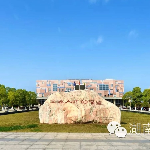 Empowering Malaysian AI Robotics Competition through Remote Teaching